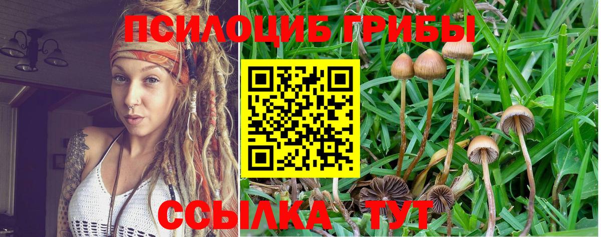 Псилоцибиновые грибы ЛСД  Вход с VPN  Егорьевск 